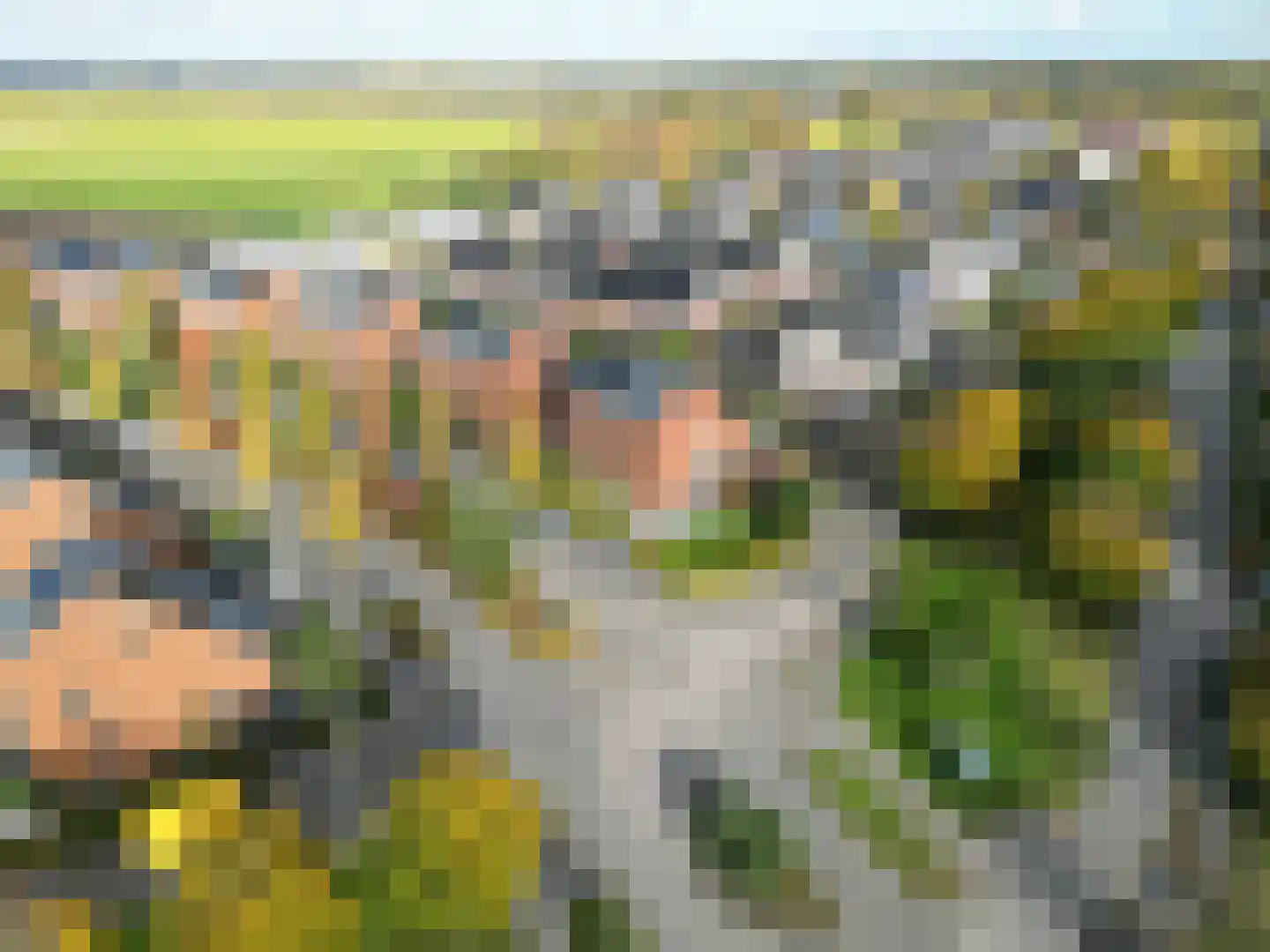 Bosrank 78 Assen thumbnail 60