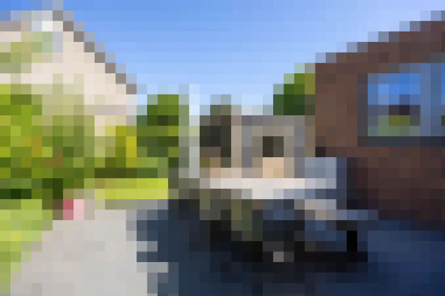 Bosrank 78 Assen thumbnail 63