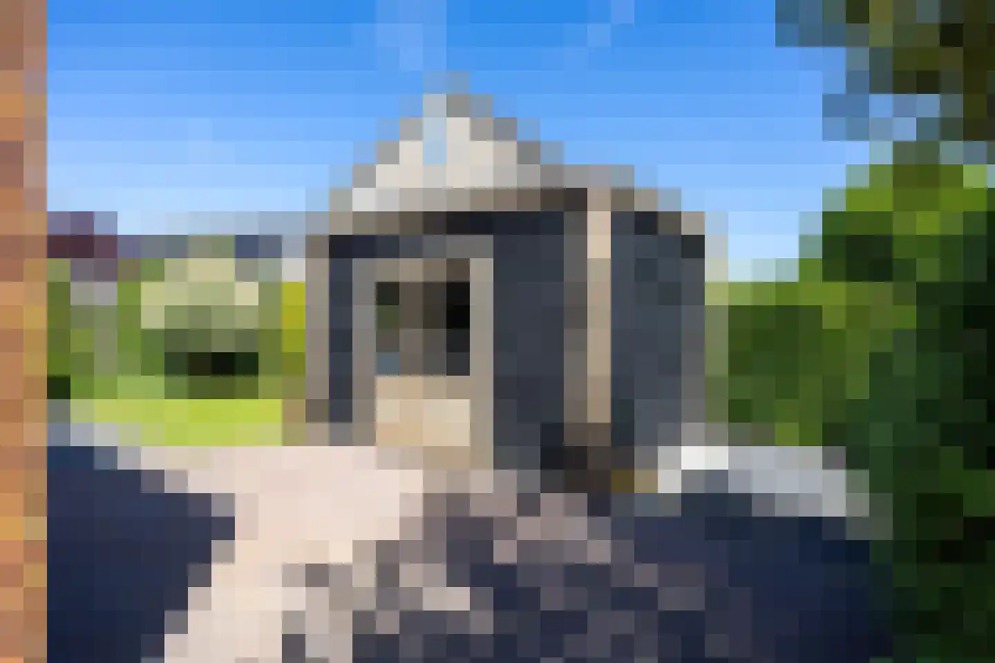 Bosrank 78 Assen thumbnail 66