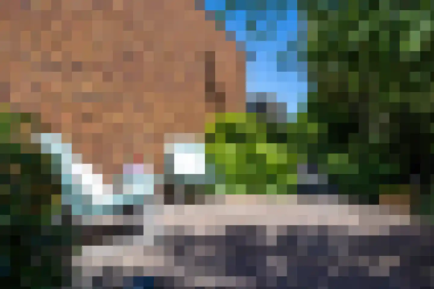 Bosrank 78 Assen thumbnail 68