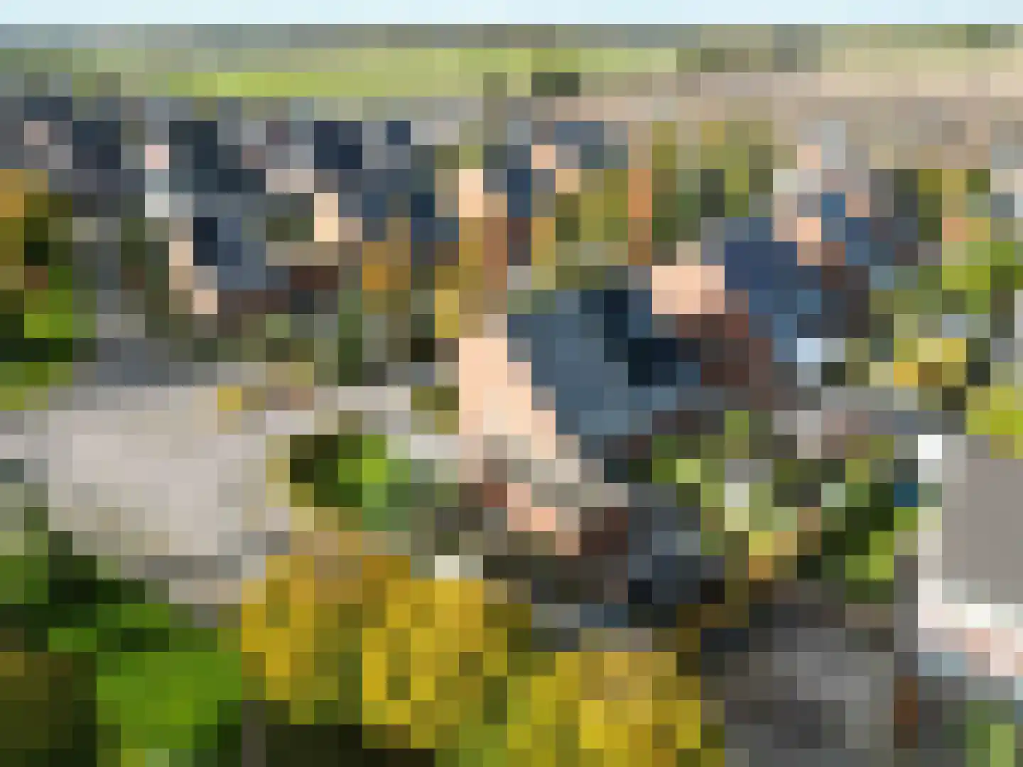 Bosrank 78 Assen thumbnail 7