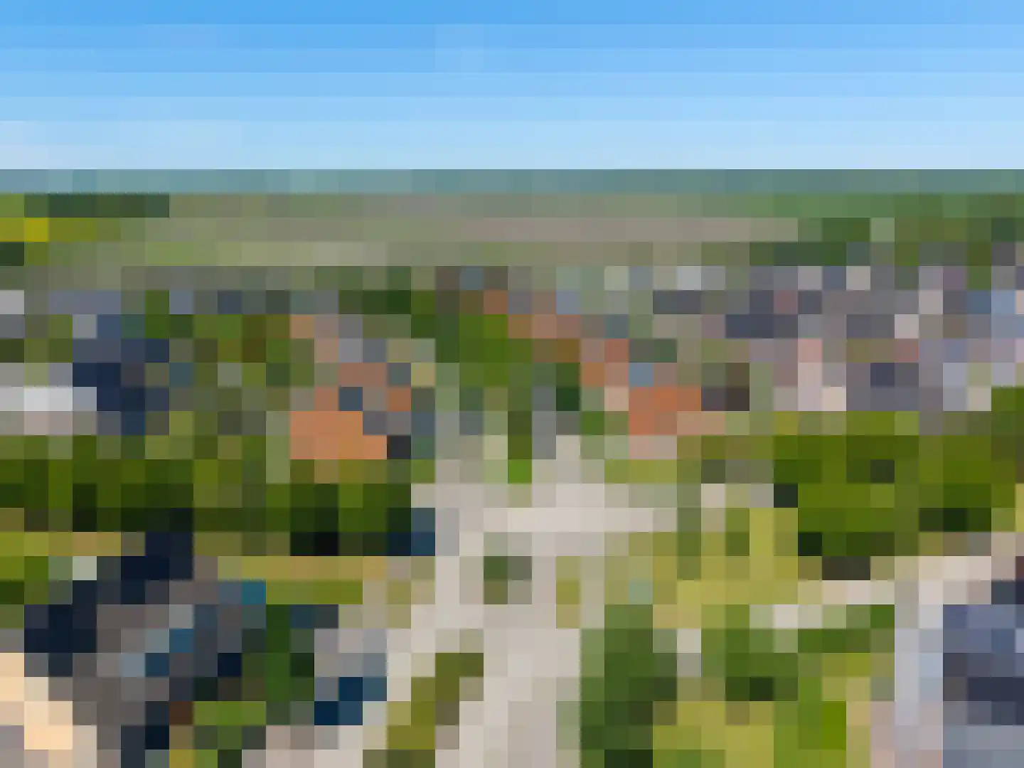 Bosrank 78 Assen thumbnail 70