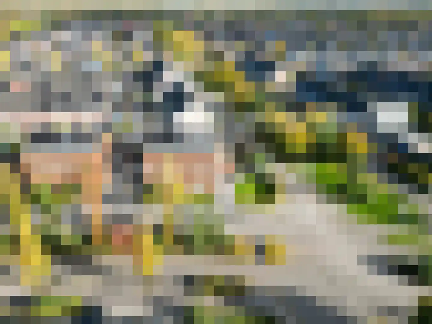 Bosrank 78 Assen thumbnail 8