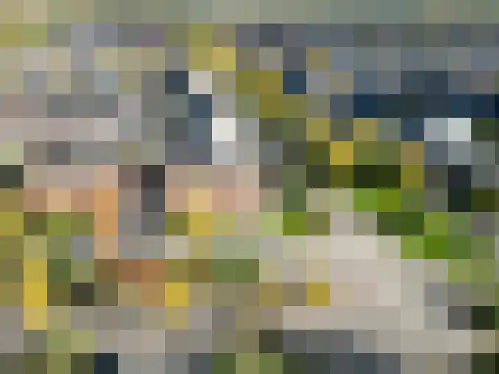 Bosrank 78 Assen thumbnail 8