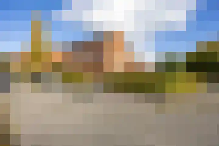 Bosrank 78 Assen thumbnail 9