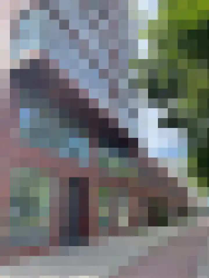 Bosrankstraat 2 Amsterdam thumbnail 27