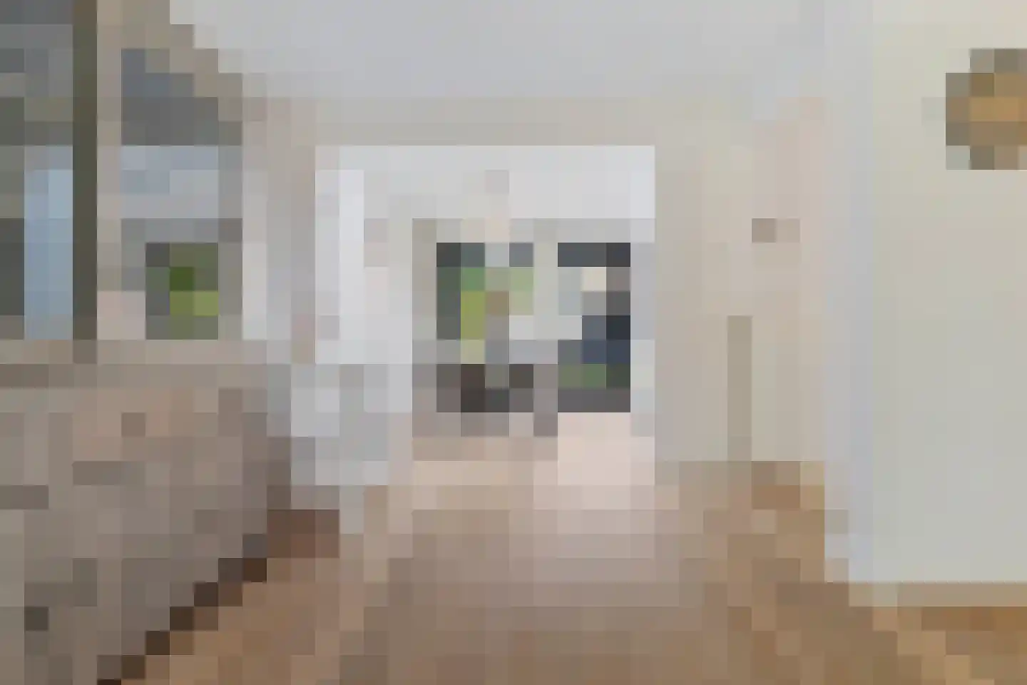 Bosrankstraat 4 Venlo thumbnail 13