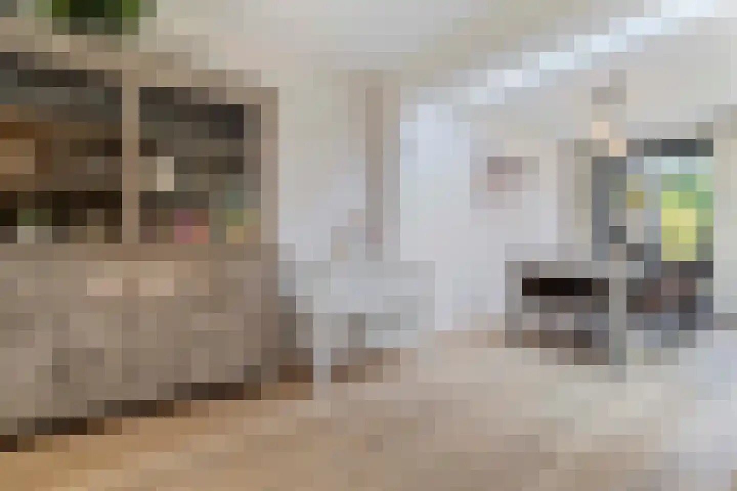 Bosrankstraat 4 Venlo thumbnail 14