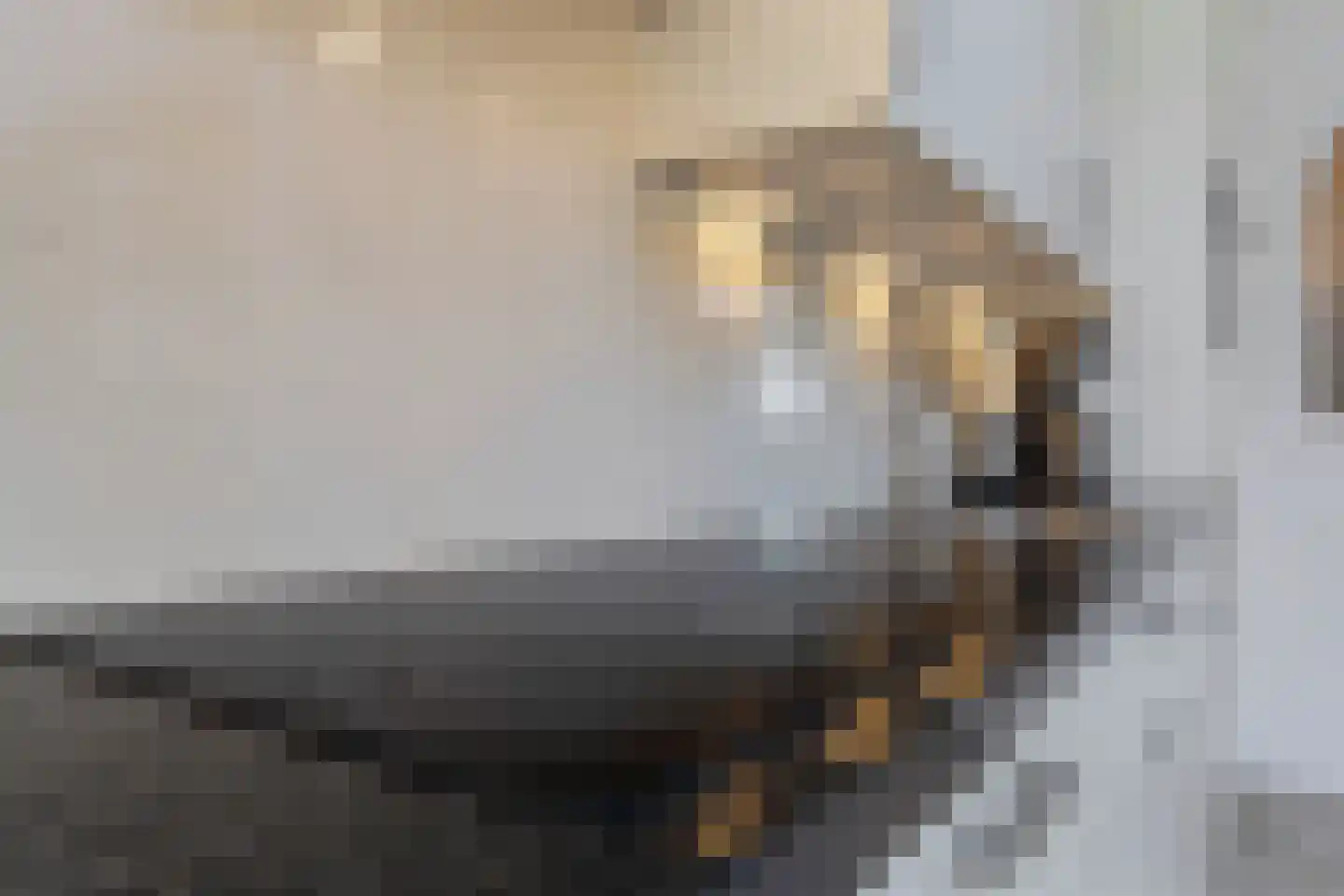 Bosrankstraat 4 Venlo thumbnail 18
