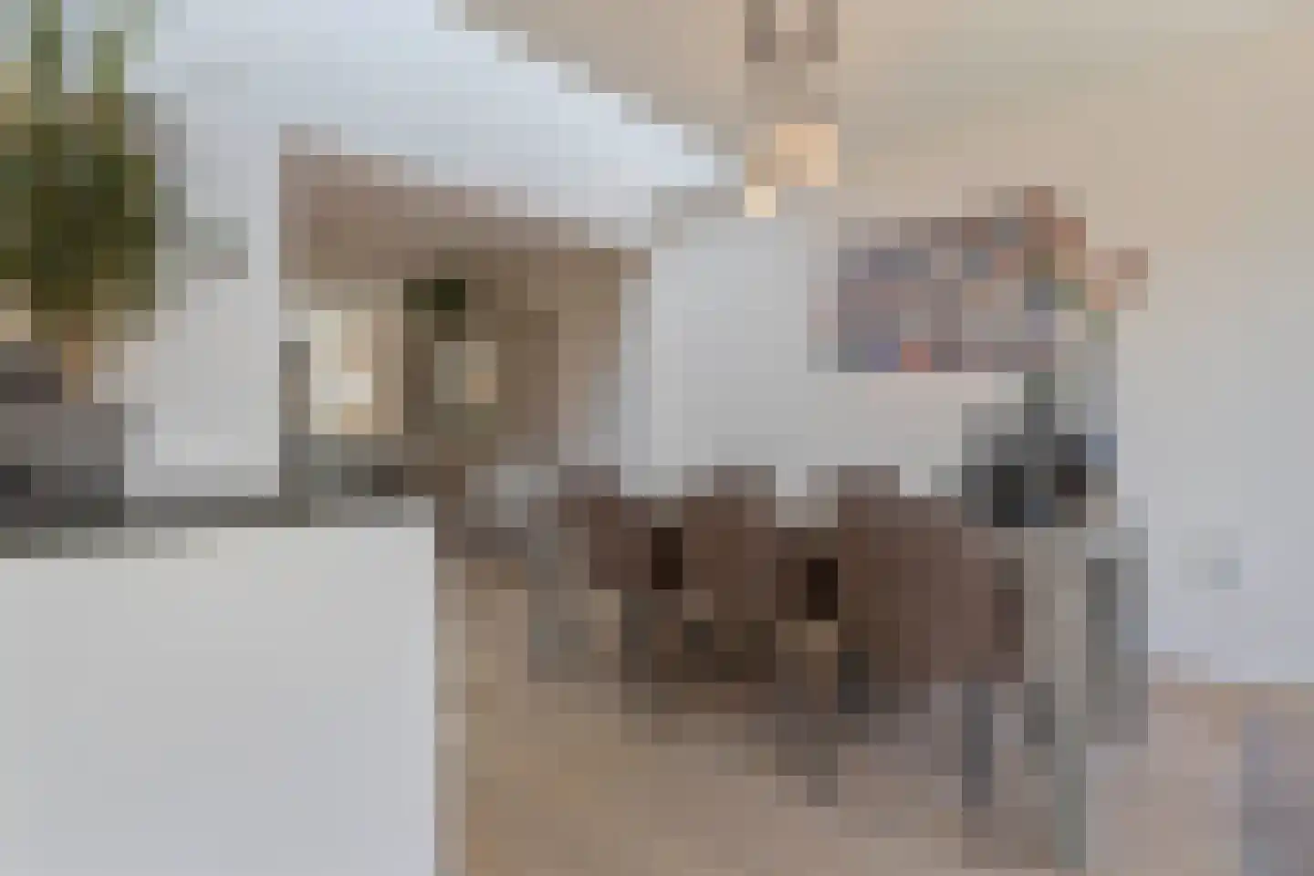 Bosrankstraat 4 Venlo thumbnail 22