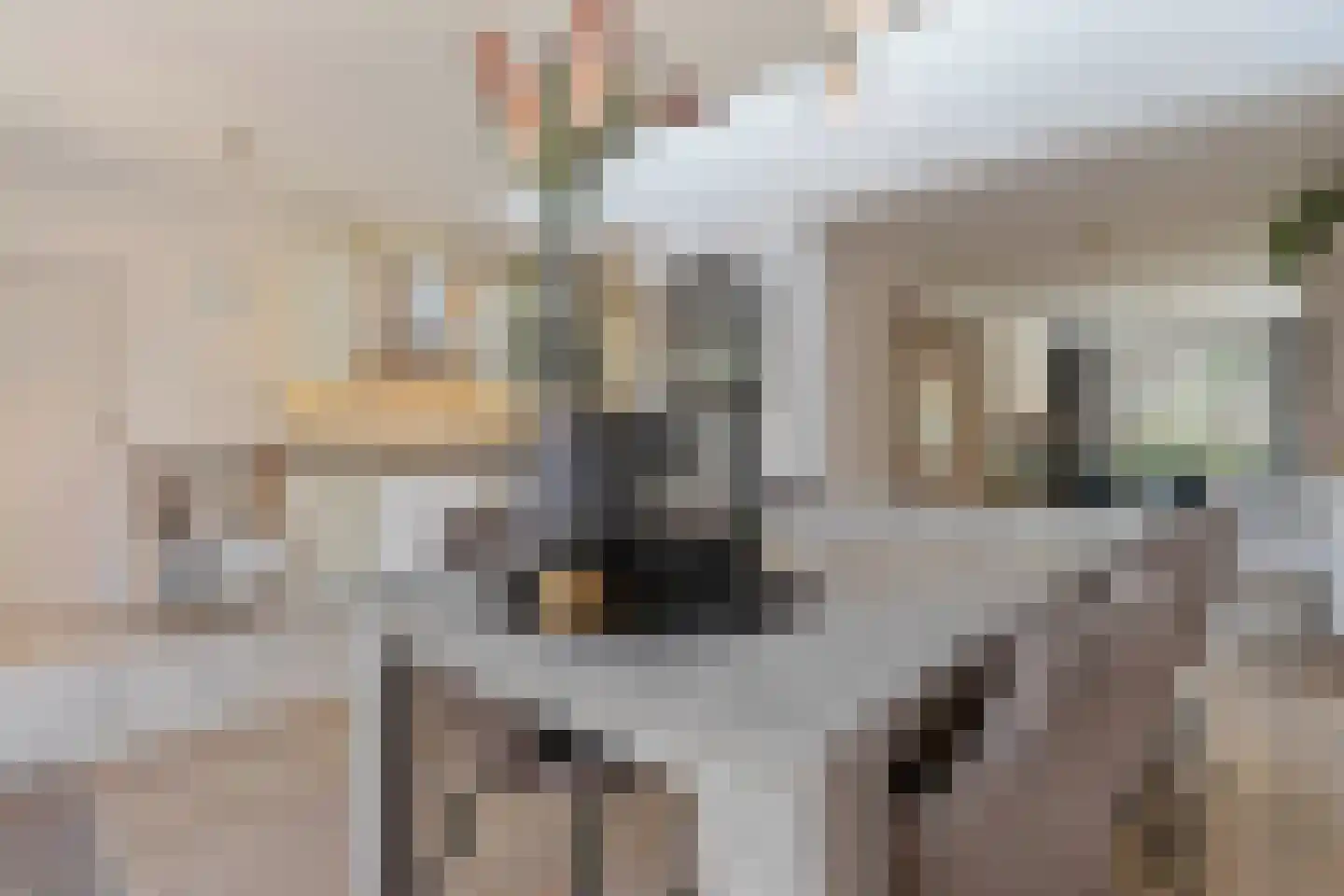 Bosrankstraat 4 Venlo thumbnail 23