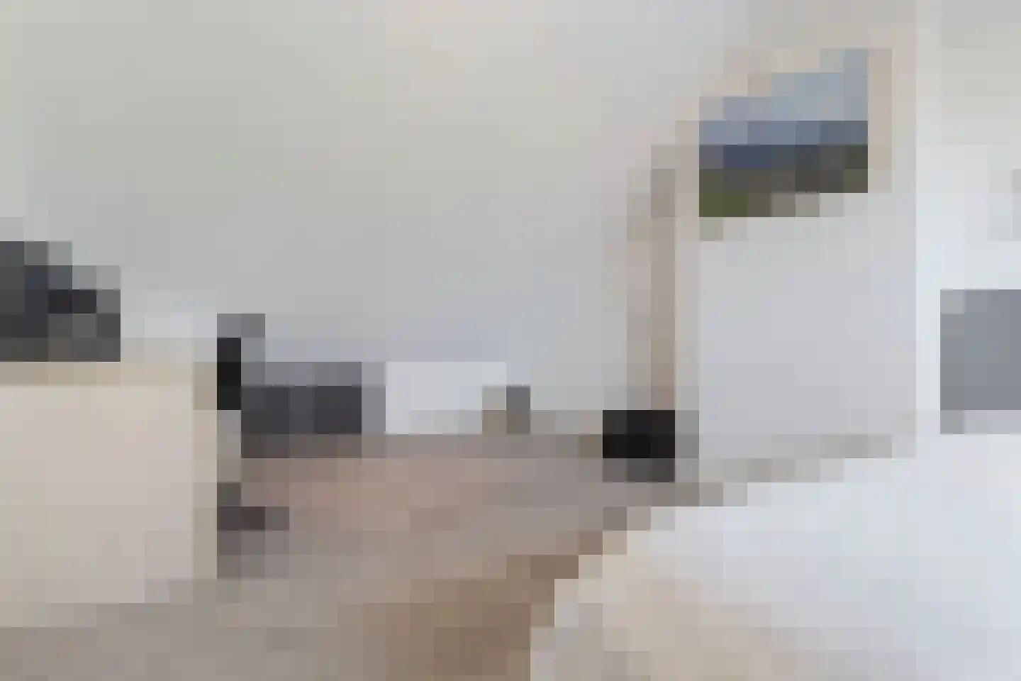 Bosrankstraat 4 Venlo thumbnail 39