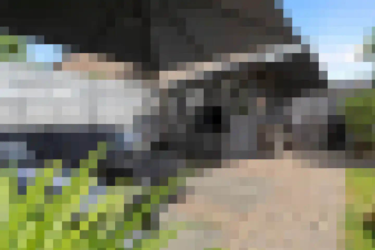 Bosrankstraat 4 Venlo thumbnail 45