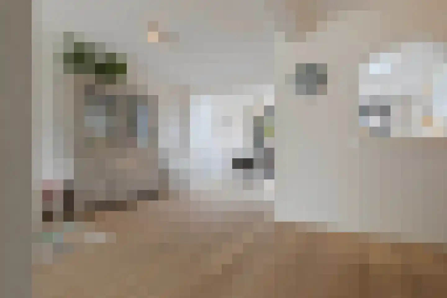 Bosrankstraat 4 Venlo thumbnail 6