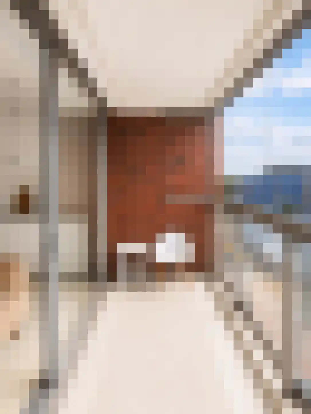 Bosrankstraat 48 Amsterdam thumbnail 4