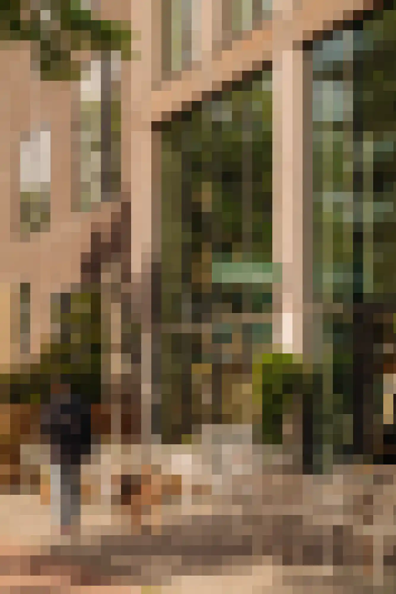 Bosrankstraat 6 Amsterdam thumbnail 24