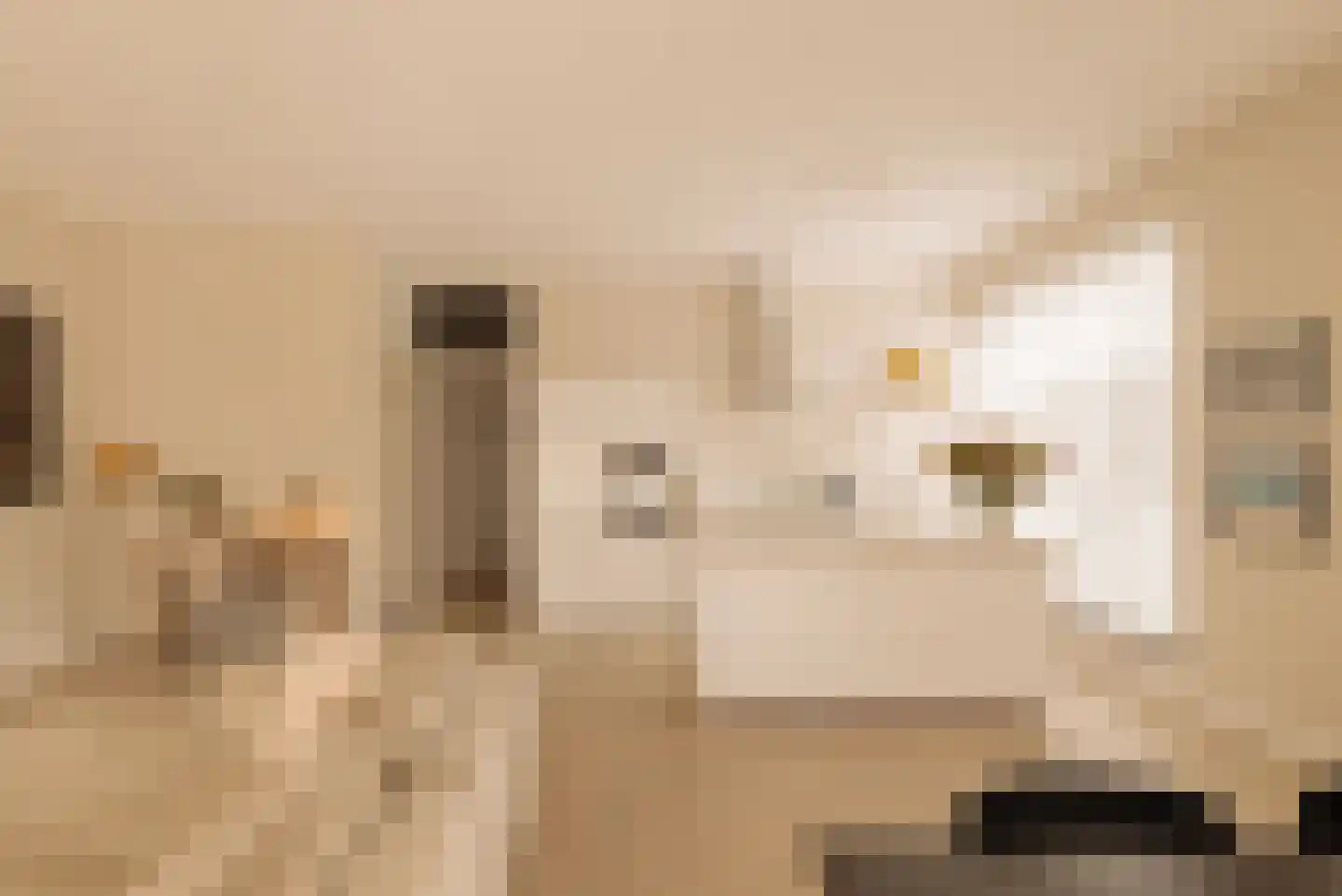 Bosrankstraat 6 Amsterdam thumbnail 5