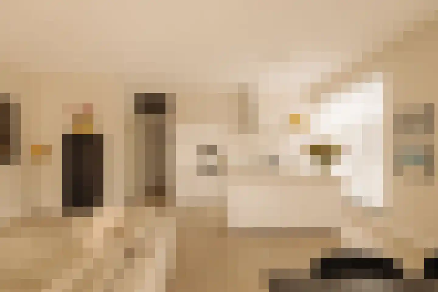 Bosrankstraat 6 Amsterdam thumbnail 5