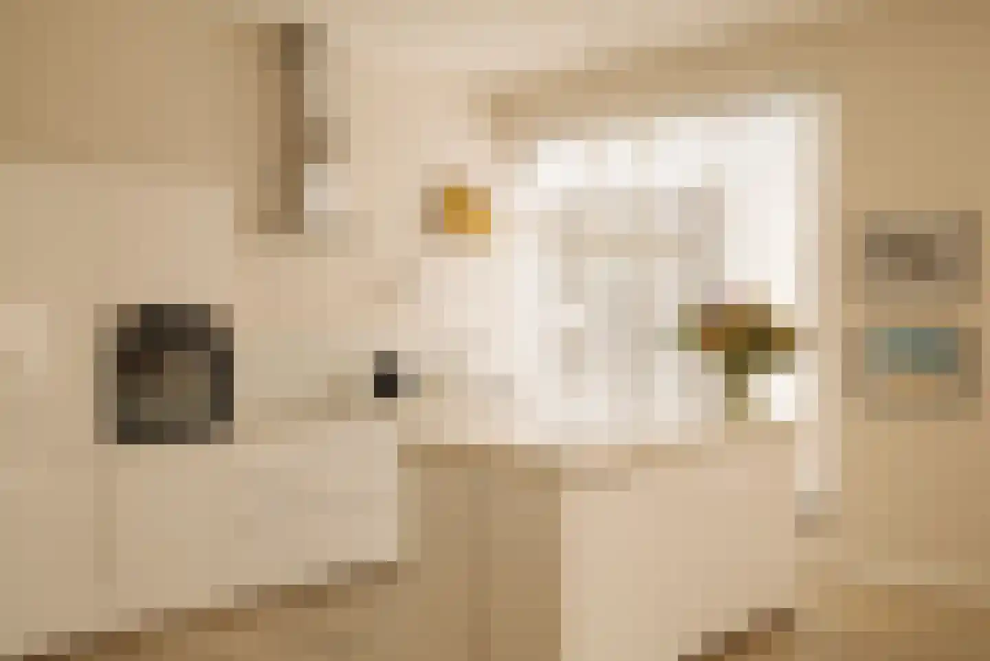 Bosrankstraat 6 Amsterdam thumbnail 6