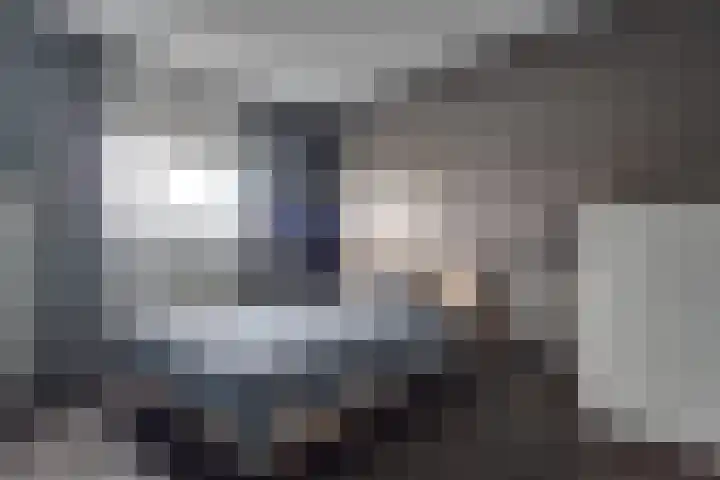 Bosroos 4 Assen thumbnail 14