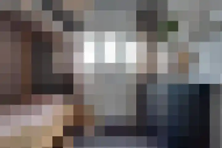 Bosroos 4 Assen thumbnail 18