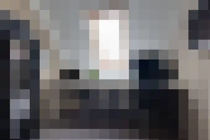 Bosroos 4 Assen thumbnail 22