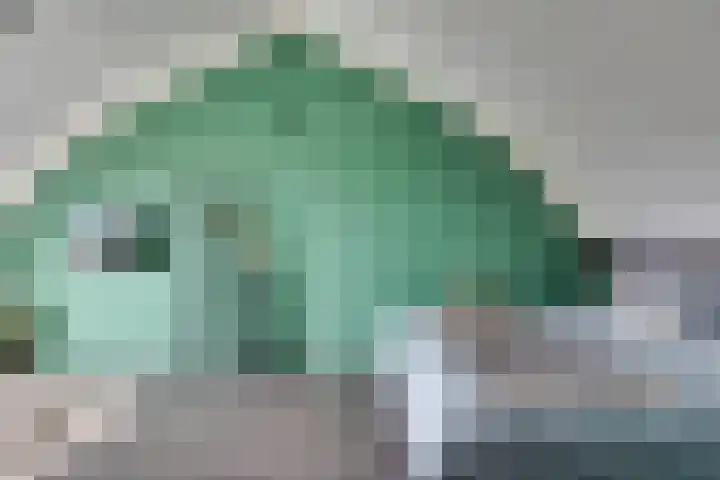 Bosroos 4 Assen thumbnail 23