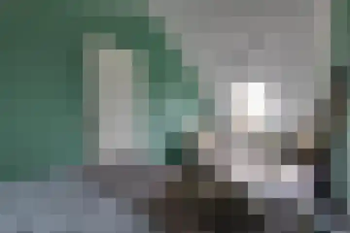 Bosroos 4 Assen thumbnail 25