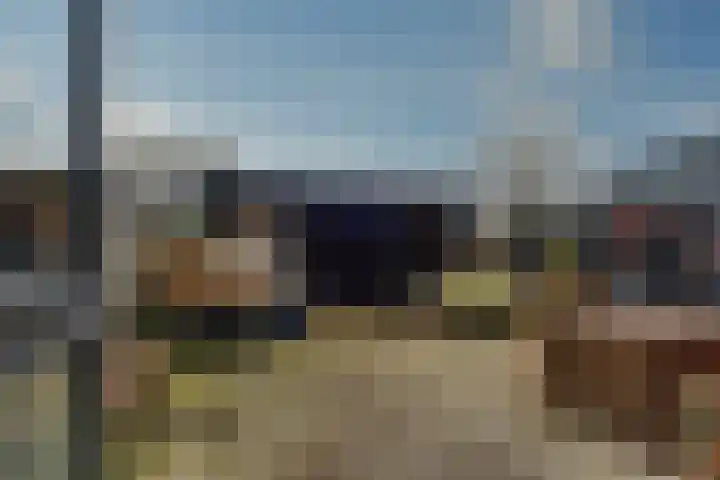 Bosroos 4 Assen thumbnail 26