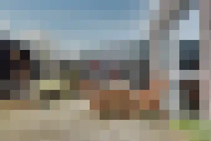 Bosroos 4 Assen thumbnail 27