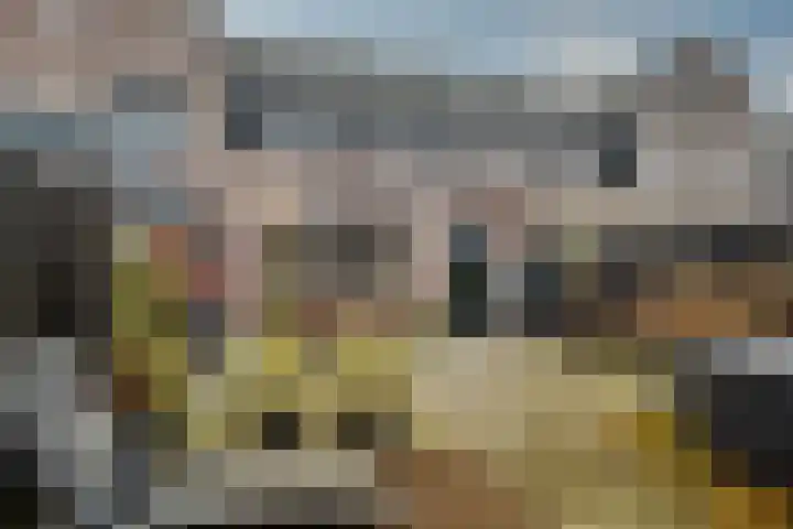 Bosroos 4 Assen thumbnail 31