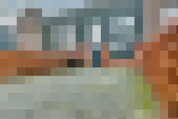 Bosroos 4 Assen thumbnail 32
