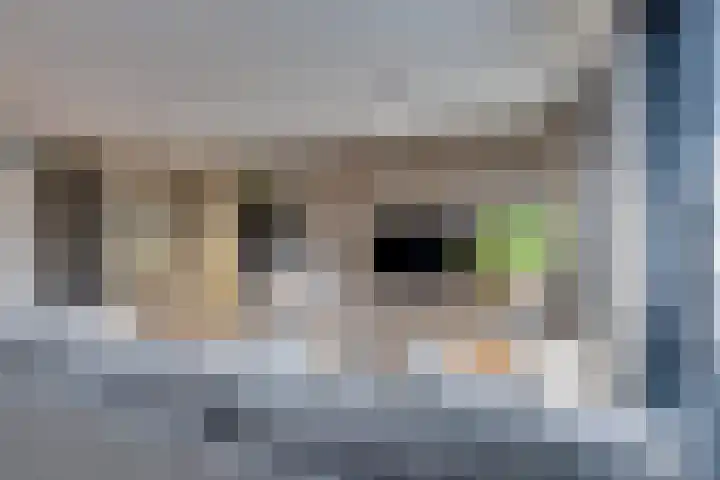 Bosroos 4 Assen thumbnail 4
