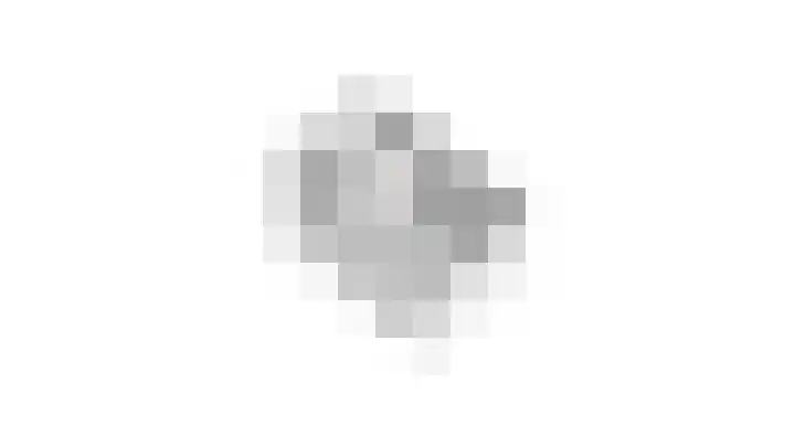 Bosroos 4 Assen thumbnail 40