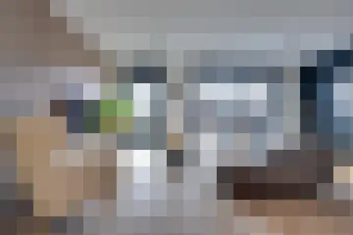 Bosroos 4 Assen thumbnail 5