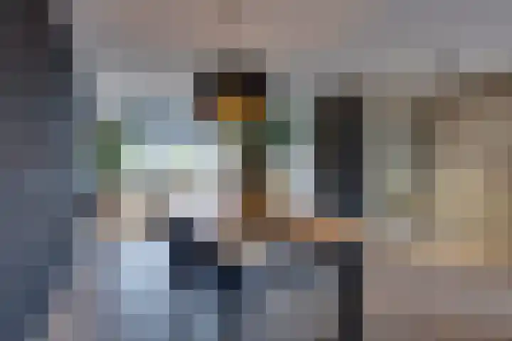 Bosroos 4 Assen thumbnail 8