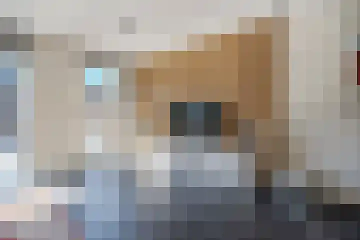 Bosroos 6 Assen thumbnail 14