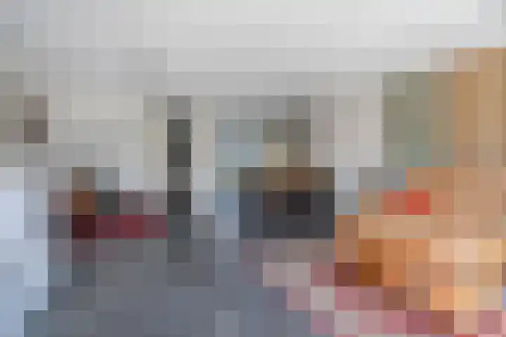 Bosroos 6 Assen thumbnail 17
