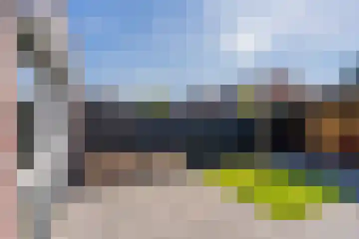 Bosroos 6 Assen thumbnail 36