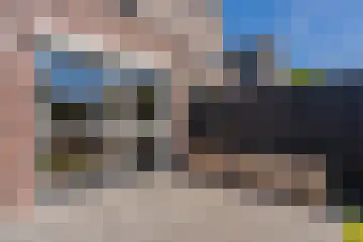 Bosroos 6 Assen thumbnail 37