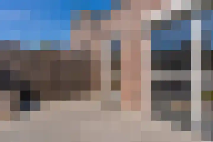 Bosroos 6 Assen thumbnail 39