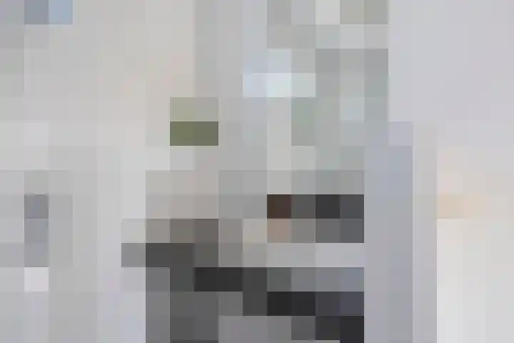 Bosroos 6 Assen thumbnail 4