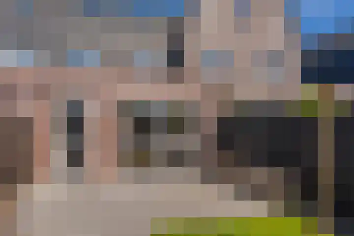 Bosroos 6 Assen thumbnail 40