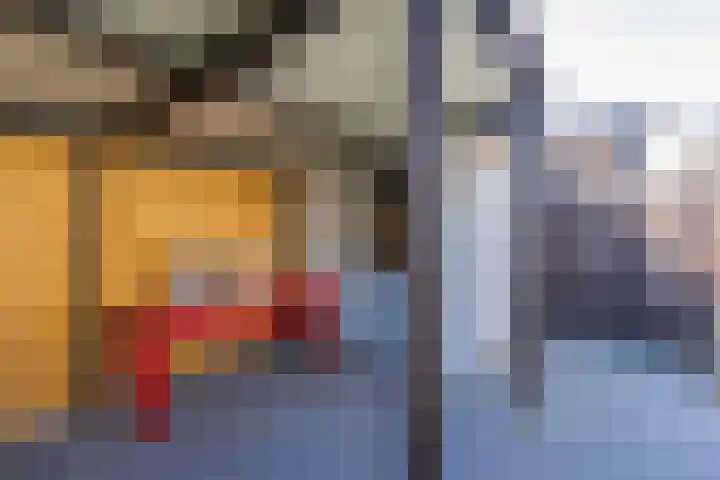 Bosroos 6 Assen thumbnail 42