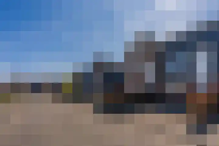 Bosroos 6 Assen thumbnail 7