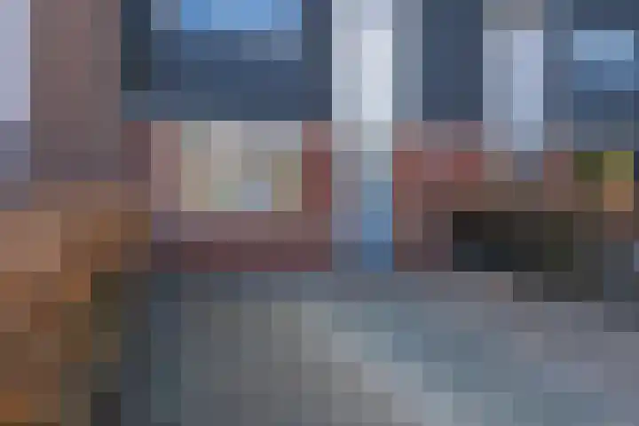 Bosroos 6 Assen thumbnail 9