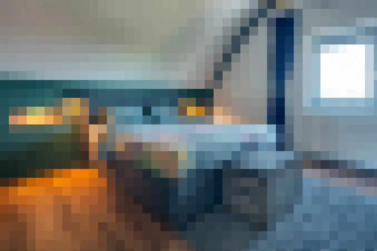Bosroos 8 Assen thumbnail 26