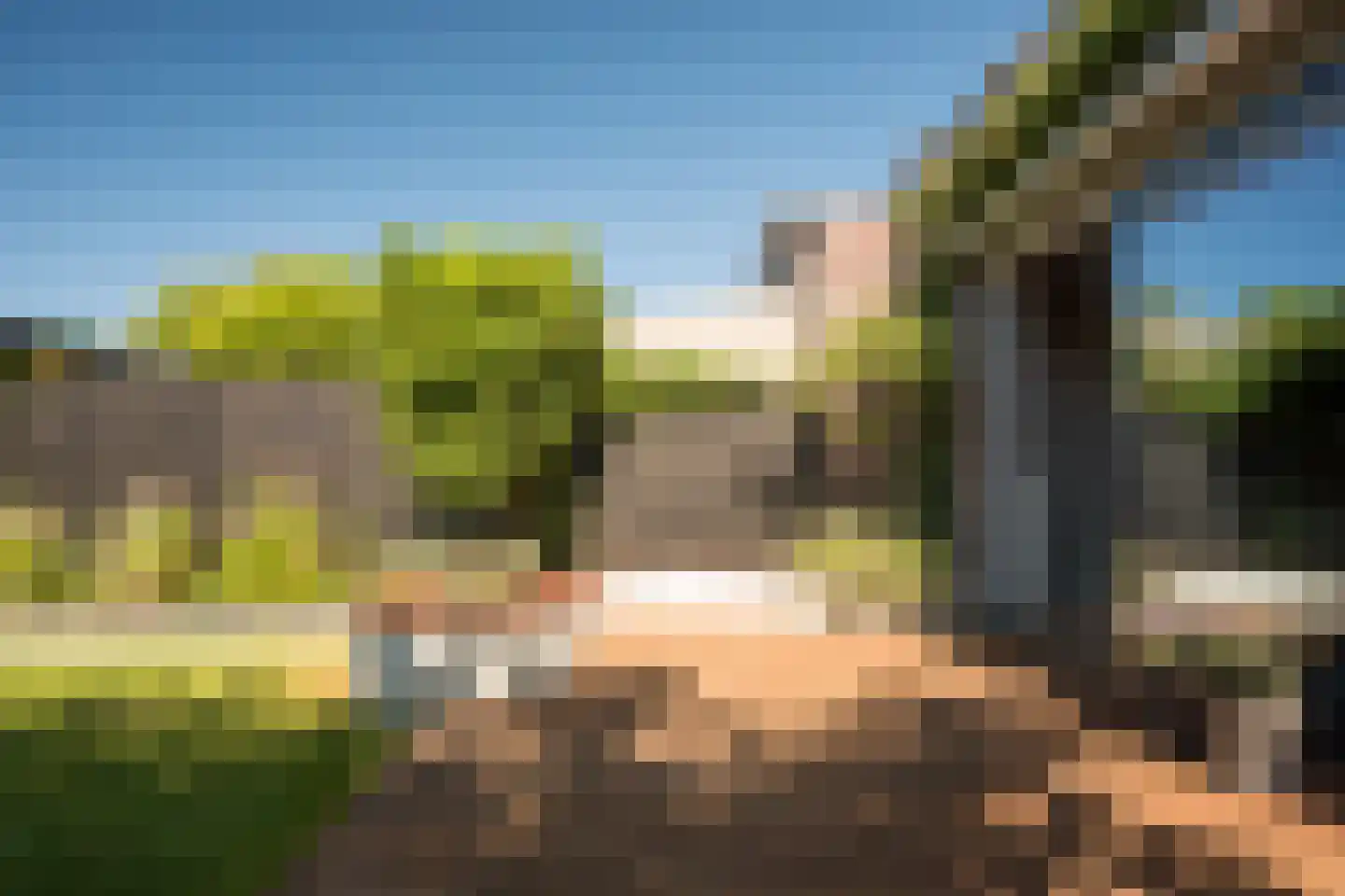 Bosroos 8 Assen thumbnail 29
