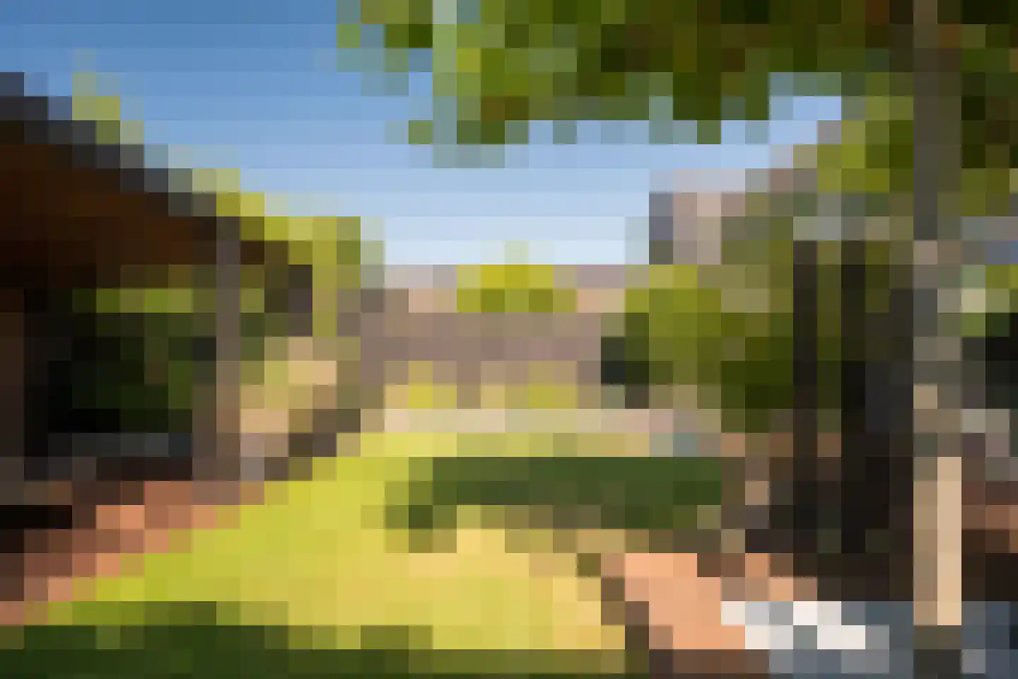 Bosroos 8 Assen thumbnail 31