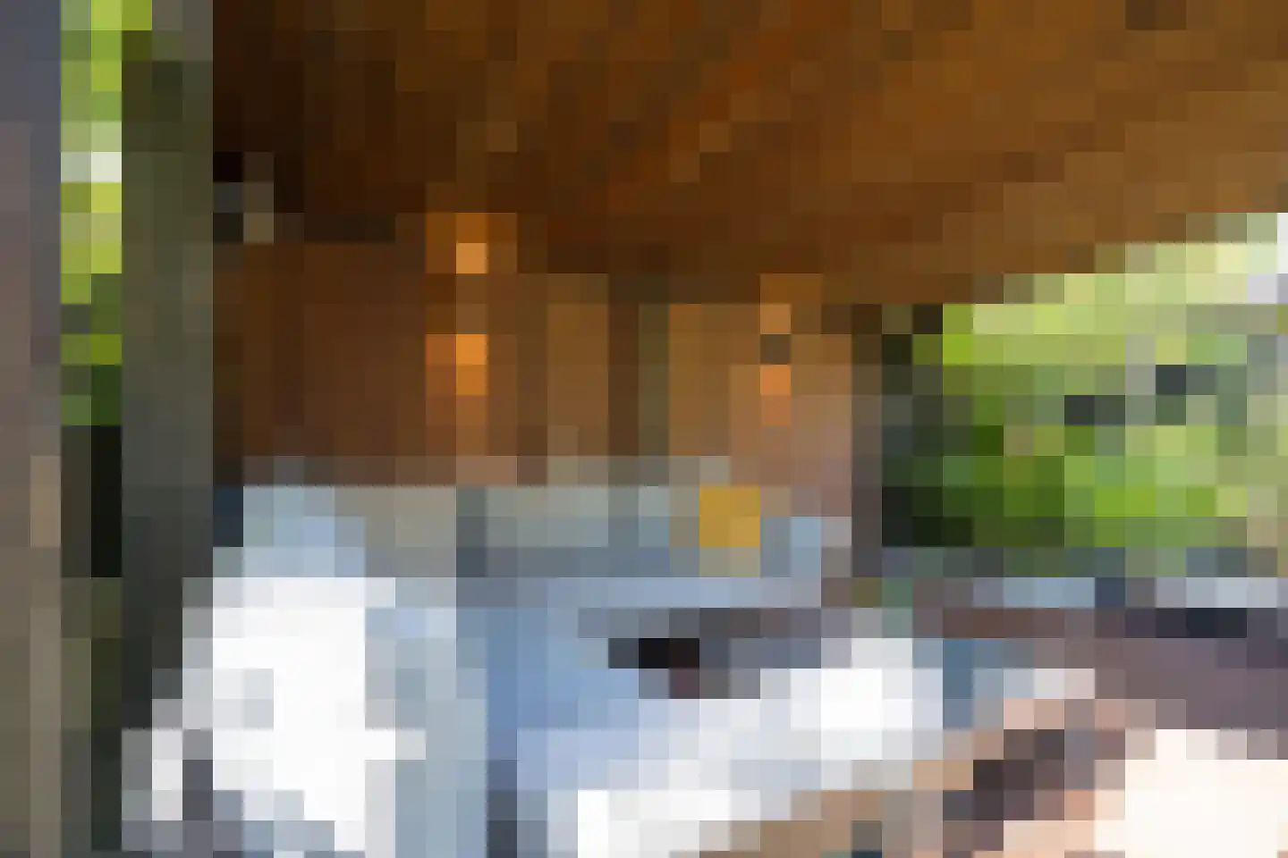 Bosroos 8 Assen thumbnail 32